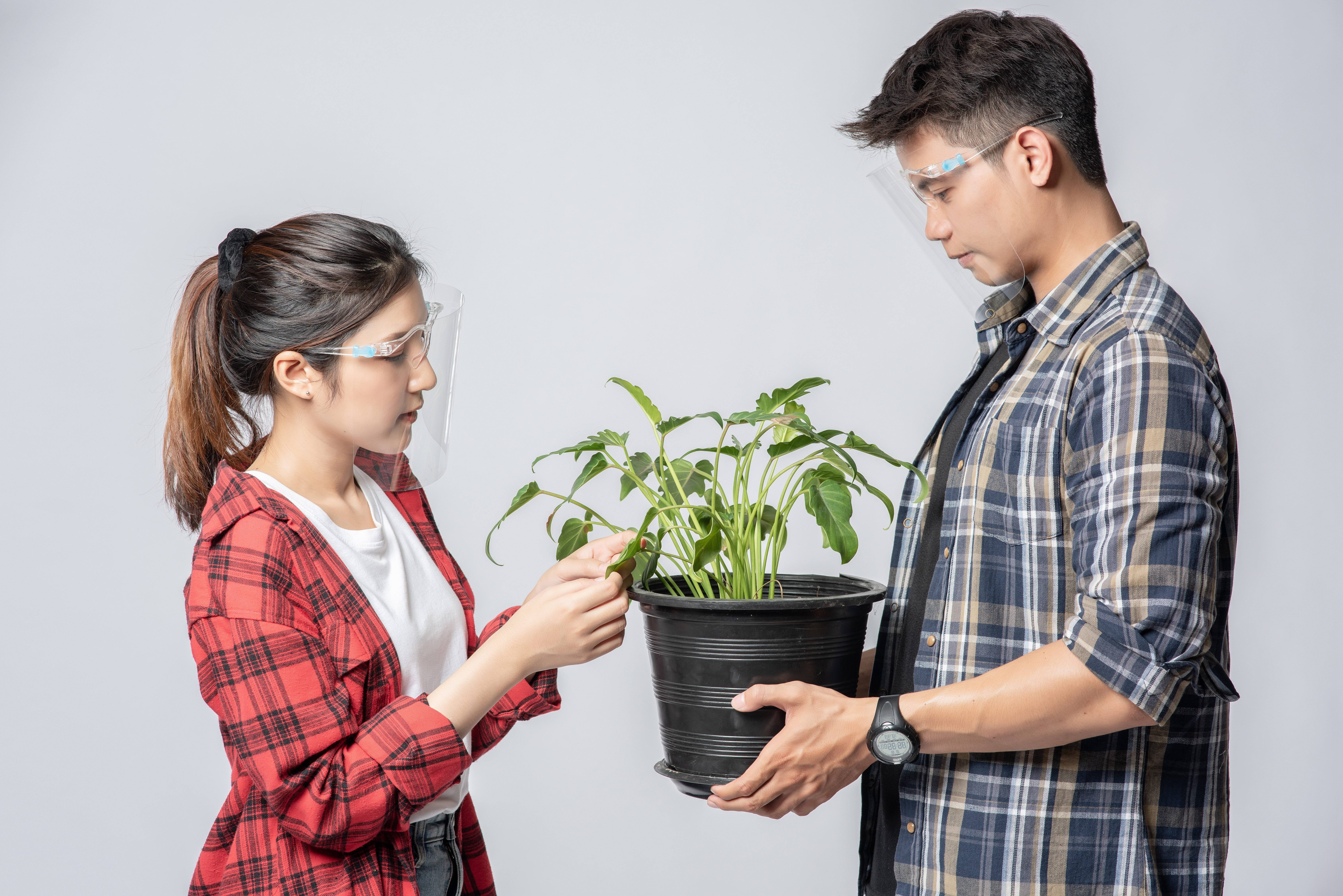 Organic Plant Growth Promoters